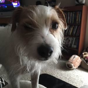 Meet your Posher, Steve